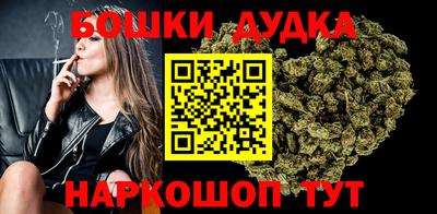 индика Анжеро-Судженск