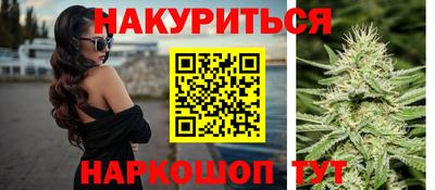 прущие крисы Кингисепп