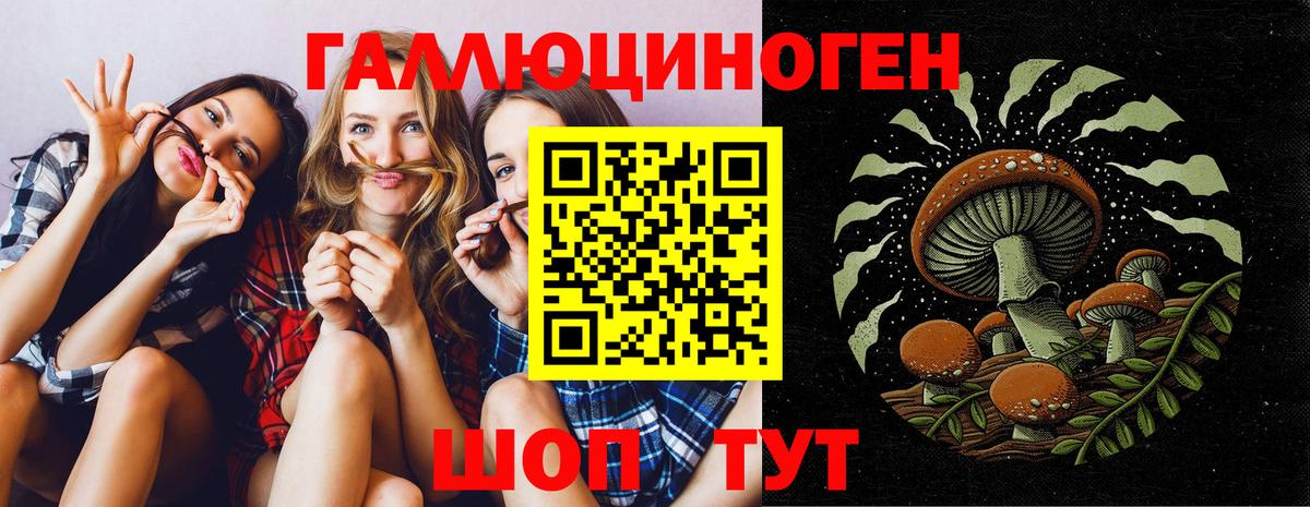 Шадринск  Галлюциногенные грибы Psilocybe  Вход с VPN 